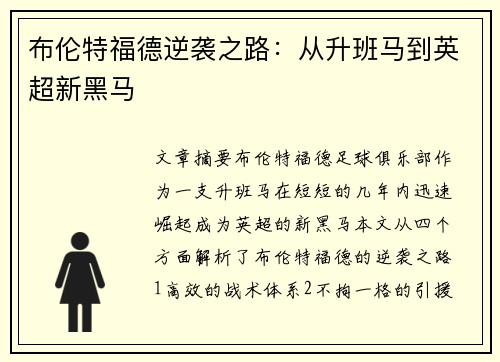 布伦特福德逆袭之路：从升班马到英超新黑马